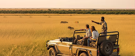Escorted Tours