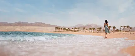 Solo Travelers