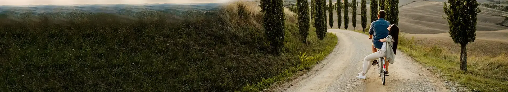 Holiday Banner